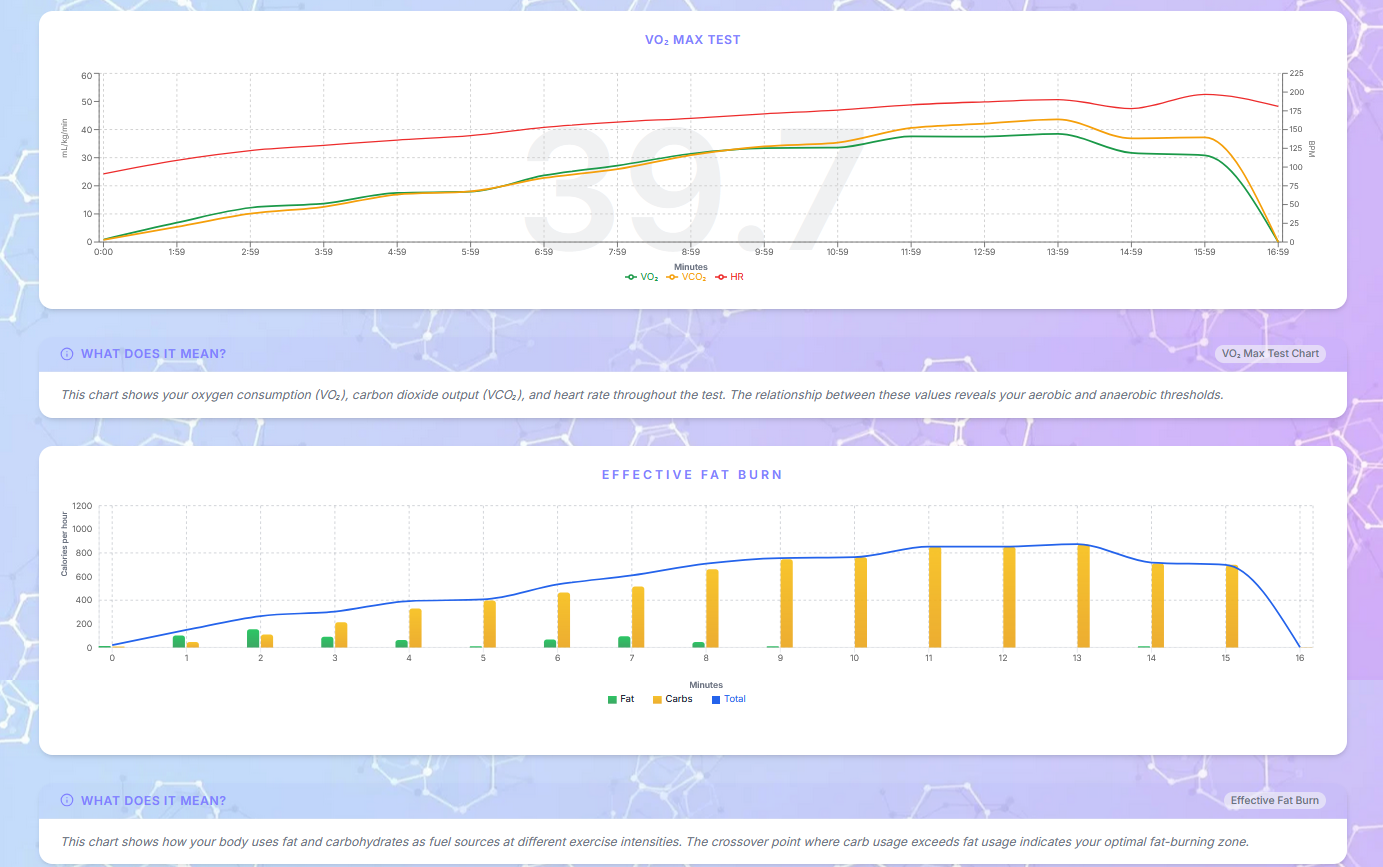 VO₂ & Metabolic Analysis – Aerivity feature screenshot